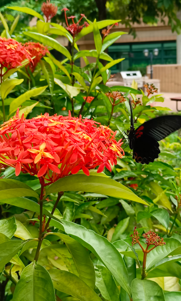 screenshot_2025_0924_1524423507292038536723229